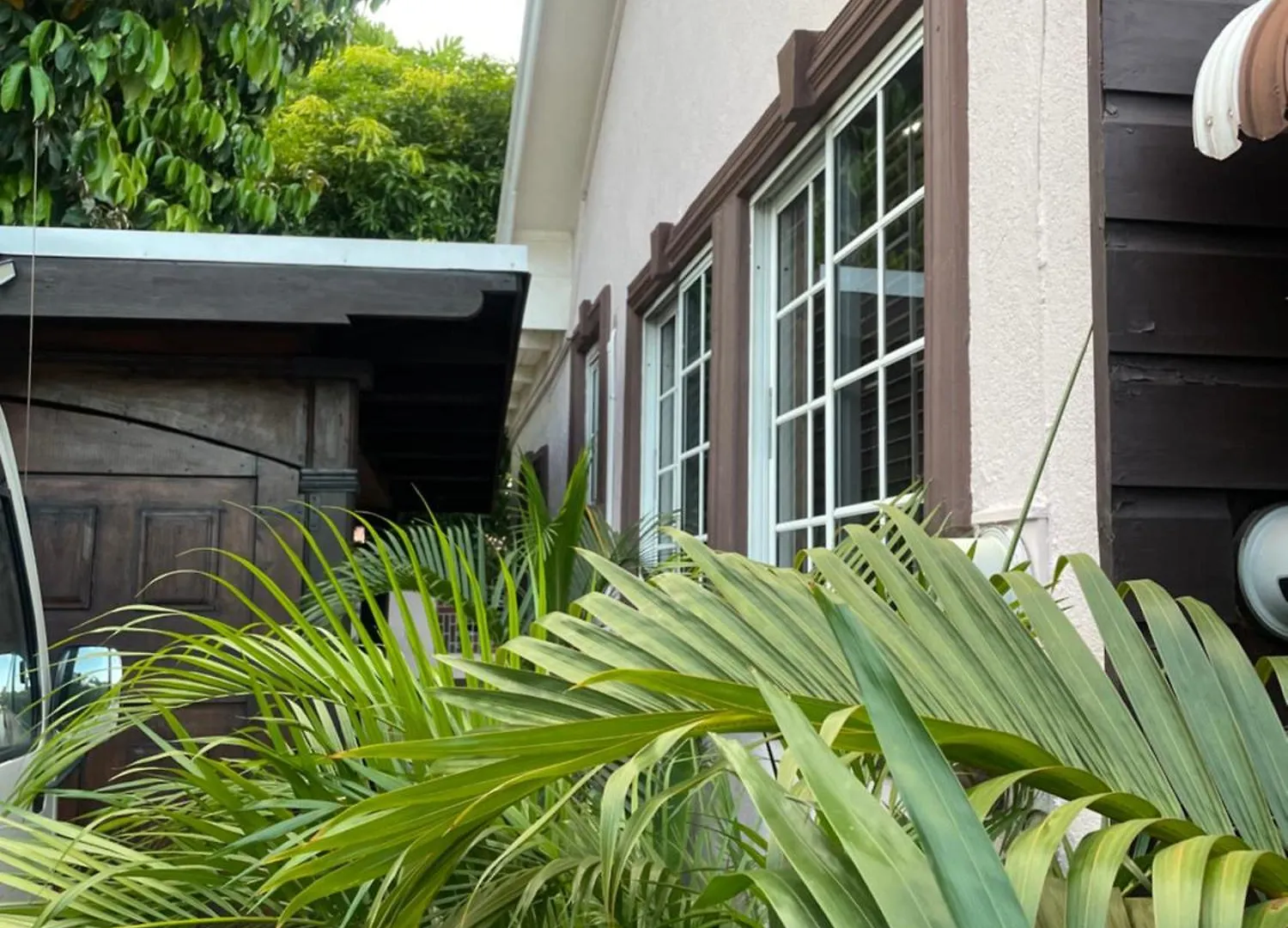 公寓 Richmond Oasis, Formerly Richmond Hideaway Half Way Tree